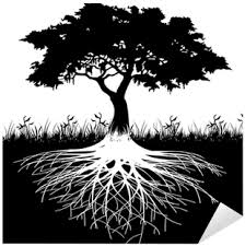 We did not find results for: Download Thick Tree Roots Silhouette Png Image With No Background Pngkey Com