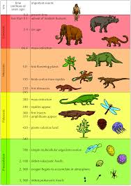 Representations Of Lifes History History Of Life On Earth