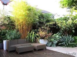 Make your tropical garden really inviting by lighting the way along a path with traditional looking lanterns. Tropical Backyard Garden Photos Ideas Bacayux Tropical Landscape Design Small Tropical Gardens Tropical Backyard