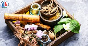 Tổng hợp các điều kiện cần thiết để sản xuất thuốc Đông y cổ truyền