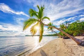 We did not find results for: Top 12 Reasons To Choose To Live In The Dominican Republic Today