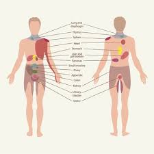 Pin On Health