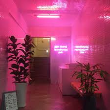 Some of the technologies we use are necessary for critical functions like security and site integrity, account authentication, security and privacy preferences, internal site usage and maintenance data, and to make the site work correctly for browsing and transactions. Clarusancilla Tumblr Blog With Posts Tumbral Com