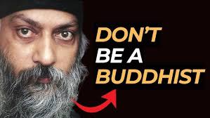 Billetto Review: Steve Ashman