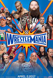 The Worst Thing I Have Ever Seen Highly Regret Watching It Never Watching Wrestling Again 1 Good Thing Threw Out The Whole 7 Hou Wrestlemania 33 Wwe Events Wwe