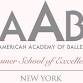AAB SUMMER 2026 AUDITION - Johannesburg, SOUTH event image