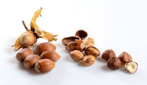 Hazelnut Wikipedia