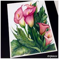 Wip World Of Flowers De Johanna Basford Colorindonamadrugada Johannabasford Worldofflower Flower Art Painting Flower Drawing Watercolor Flowers Paintings