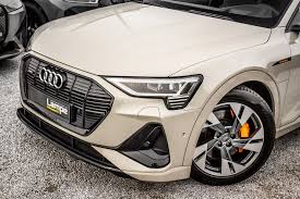 Image result for Siam Beige 2020 Audi