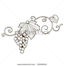 Grape Vine Branches Ornament Raster Illustration Engraving Style Brown Color Boyama Sayfalari Cizimler Uzum