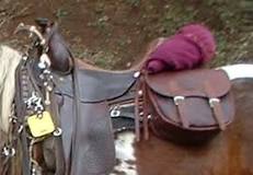 Saddlebag - Wikipedia