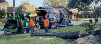 About Sticks Tree Service Houston