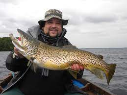 15lb 2oz Lough Corrib Ferox Brown Trout Landed Coarse Fishing News Angling Times Trout Fishing Brown Trout Fishing Photo