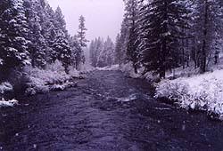 The Metolius River