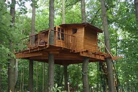 Luxury tree houses perfect for a unique holiday. Treehouse V Brdech Bohutin Aktualisierte Preise Fur 2021