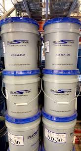 Image result for Blue Streak 2021 Fleet