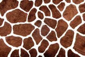Realistic giraffe texture for background. Africa Animal Skin Animal Print Giraffe