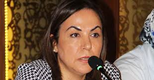 Senin adın ne, kim ihbar ediyor arabamı. Anayasa Komisyonu Katibi Zeynep Gul Yilmaz Kimdir