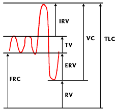 Anesthesiology Ventilation