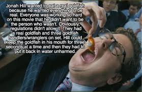 Jonah Hill: My Goldfish-Eating Wolf Of Wall Street Character Makes Me Feel  Bad | Metro News