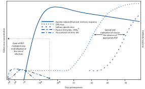 Use Of A Reduced 4 Dose Vaccine Schedule For Postexposure