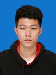 Improved Light Robust Optimization Strategy for Virtual Power Plant  Operations with Fluctuating Demand