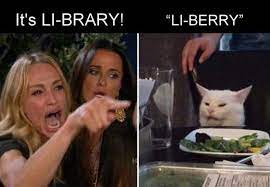 Fine Collection Of Woman Yelling At Cat Memes Internet Funny Funny Memes Cat Memes