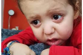 Daniel Monreal Azcárate