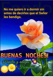 Pin By Dora Alicia On Buenas Noches Plants