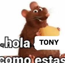 Imagen de Hola Tony, ¿Cómo estas?