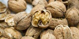 Résultat de recherche d'images pour "SPERME cuillere D ARGENTS"