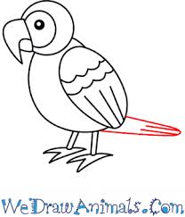 How To Draw A Simple Parrot For Kids This kawaii chibi version of lucario is super cute and not too hard to draw. how to draw a simple parrot for kids