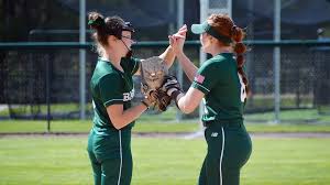 Softball Gets Past WPI, 6-2, But Blanked by MIT in NEWMAC Tournament Final,  4-0