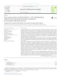 Image result for Cissampelos torulosa