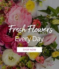 New appointments, providers and locations are regularly added. Seminole Florist Largo Florida Rose Garden Florist