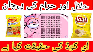 Halal if it is from soy fat or egg yolk; What Is Halal And Haram In Islam What Are E Codes In Food Youtube