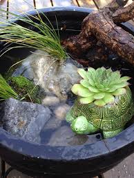 Wer sich auch in einem kleinen garten oder auf dem balkon etwas wasser wünscht, kann sich einen miniteich anlegen. Balkon Ideen Selber Machen Ein Mini Teich Im Topf Balkon Diy Zenideen Miniteich Kleiner Balkon Garten Kleine Hinterhofgarten