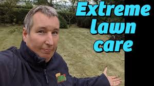 get quote call now get directions. I Killed My Lawn No More Weed Grass Part 2 Ugly Lawn Series Youtube
