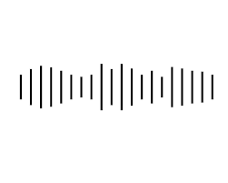 Bowdoin Digital Collections