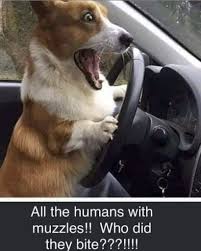 Pin On Blah Blah Blog