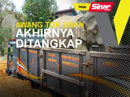 Permohonan jawatan kosong jabatan perlindungan hidupan liar dan taman negara (perhilitan). Jabatan Perlindungan Hidupan Liar Dan Taman Negara Perhilitan Sinar Harian