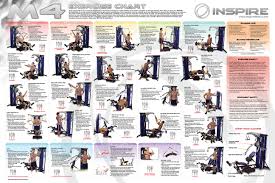 Weight Lifting Exercises Wall Chart Best Picture Of Chart