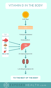 Nausea, vomiting and severe abdominal pain are also considered rare side effects of this supplement (18). Vitamin D Synthesis Vitamin D Vitamins Vitamin D Benefits