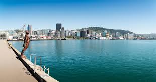 Denn hier finden sie alles, was diese welt an natur zu bieten hat. Orte In Wellington Wellington New Zealand