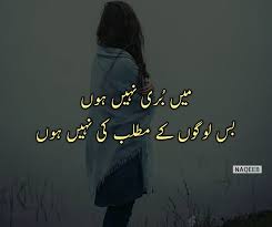 Pin On Urdu Adab