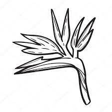 Pin On Dessin Bouillottes