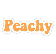 Peachy 70 S Vintage Retro Sticker By Megangilleyxo Aesthetic Stickers Phone Stickers Hydroflask Stickers
