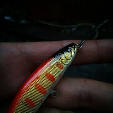 voblere おしゃれまとめの人気アイデア pinterest george suicu トラウト ルアー 釣り トラウト