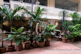 Meet the cutest rubber ducks of the amsterdam duck store. Rubberduck Plaza Damas Kl My Story