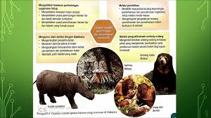 Buku ini juga menfokuskan kepada penyelidikan spesies ikan kelah atau tor sp. Sains Tingkatan 2 Bab 1 Biodiversiti Science Quizizz